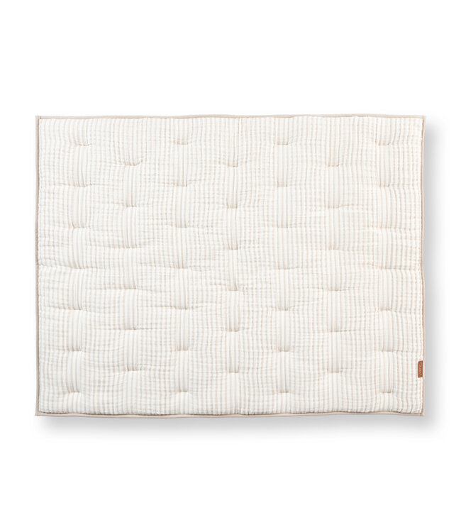 Quax Quax - Stripes - Boxlegger R/V