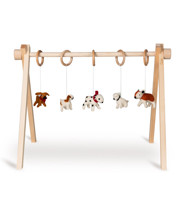 Quax Quax - Activity Toy Set Dog (5 Pcs)