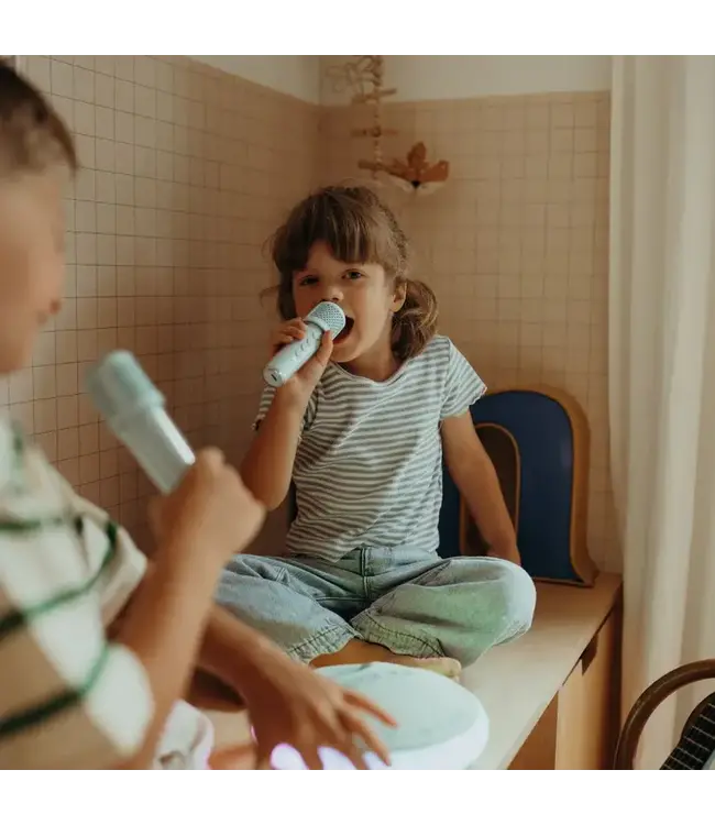 Kidywolf Kidywolf - Kidykaraoke - Karaoke Speaker  2 X 20W Speakers And Two Wireless Microphones With  Sound Effects.