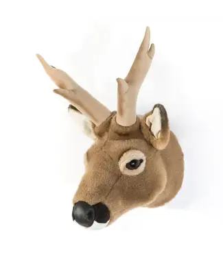 Wild & Soft Wild & Soft - Kop ree Toby