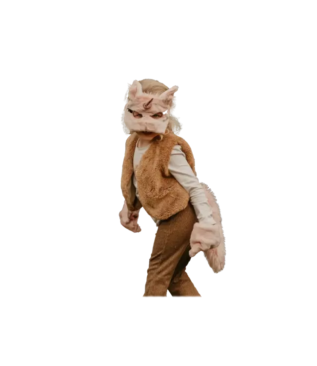 Wild & Soft Wild & Soft - Verkleedset roze eenhoorn (masker/handschoenen/staart) m/doos