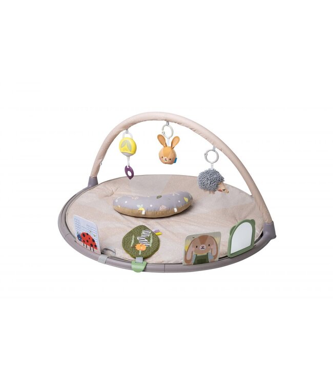Taf Toys Taf Toys - Tummy-Time Activity Gym