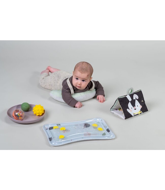 Taf Toys Taf Toys - Tummy-Time Essentials Kit