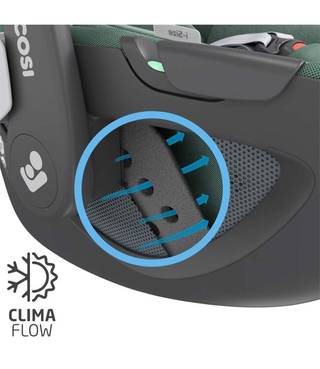 Maxi Cosi Maxi Cosi - Mc Pebble 360 Pro Essential Green