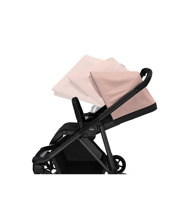 Thule Thule - Shine Misty Rose on Black