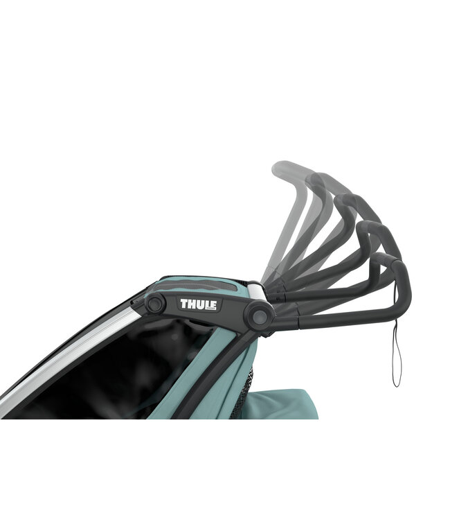 Thule Thule - Fietskar Cross 2 Alaska