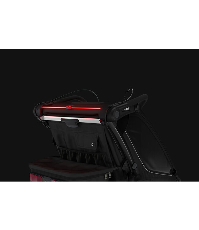 Thule Thule - Fietskar Sport 2 Black on Black