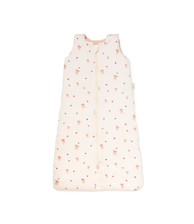 CamCam CamCam - Sleeping Bag 0-6 Months - OCS - Bows