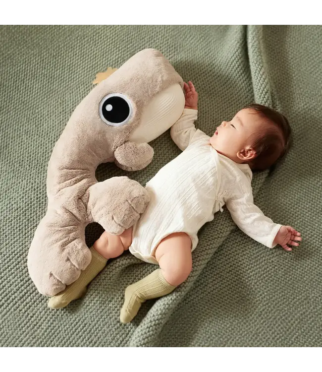 Topbright Topbright - Soothing Whale