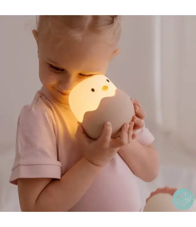 Mary's Mary's - Led Lamp - Chick