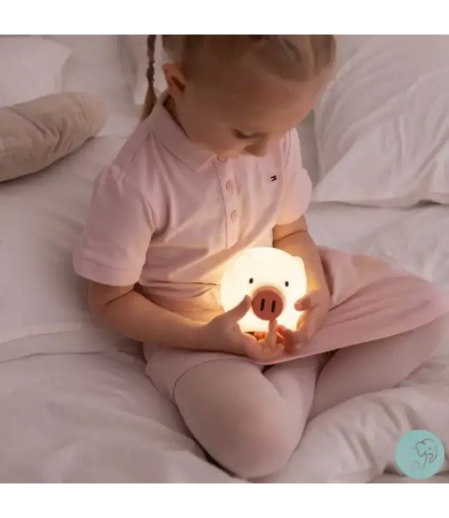 Mary's Mary's - Led Lamp - Pig