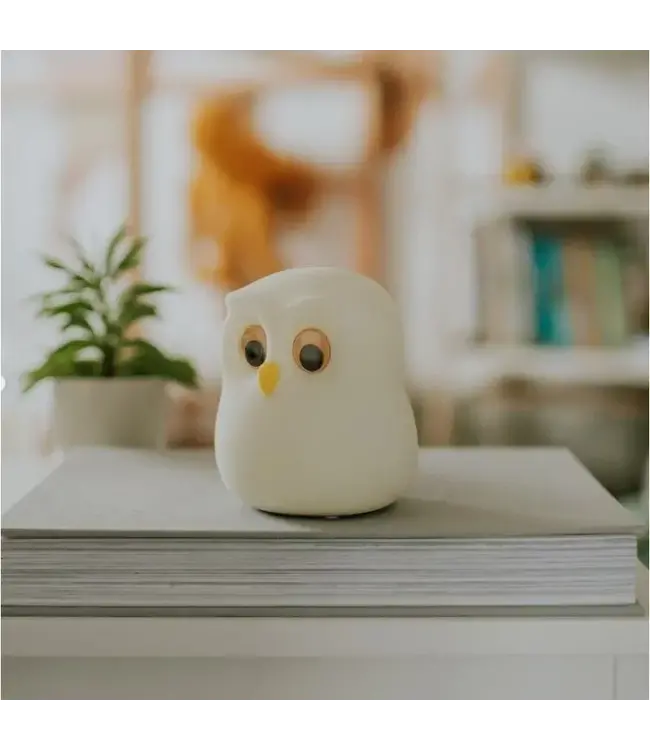 Mary's Mary's - Led Lamp - Owl