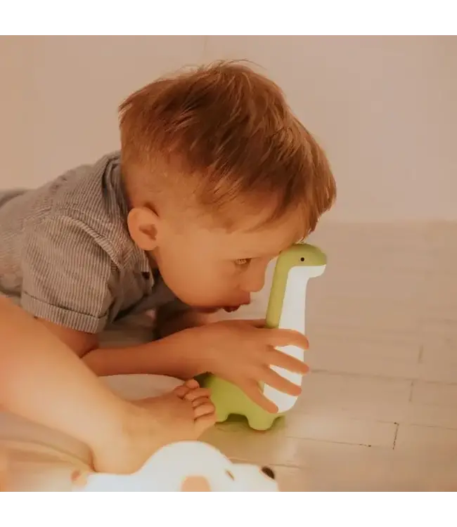 Mary's Mary's - Led Lamp - Dinosaur