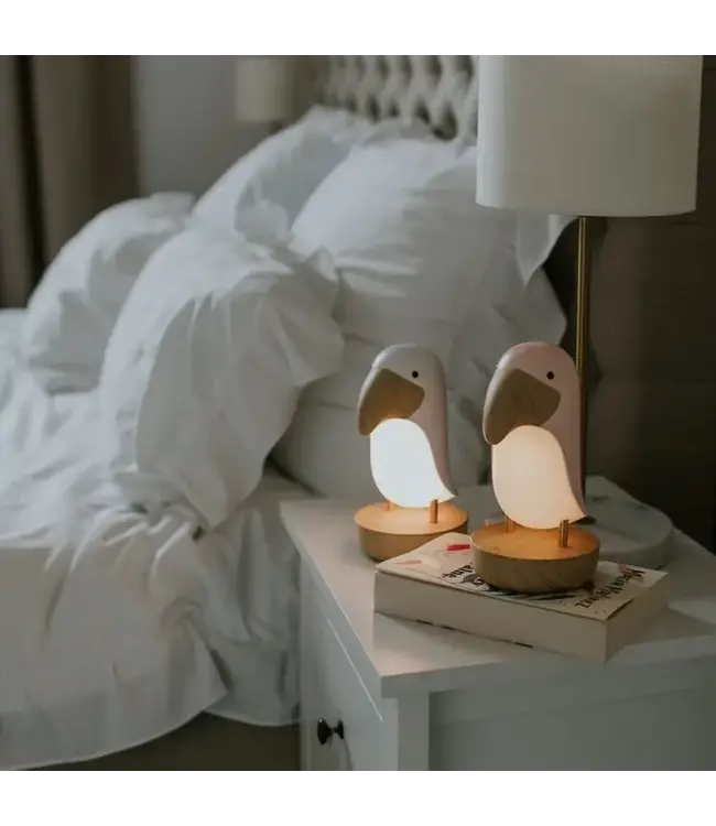 Mary's Mary's - Toucan - Pink + Bluetooth Speaker