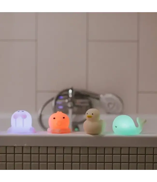 Mary's Mary's - Led Lamp - Sea Kit