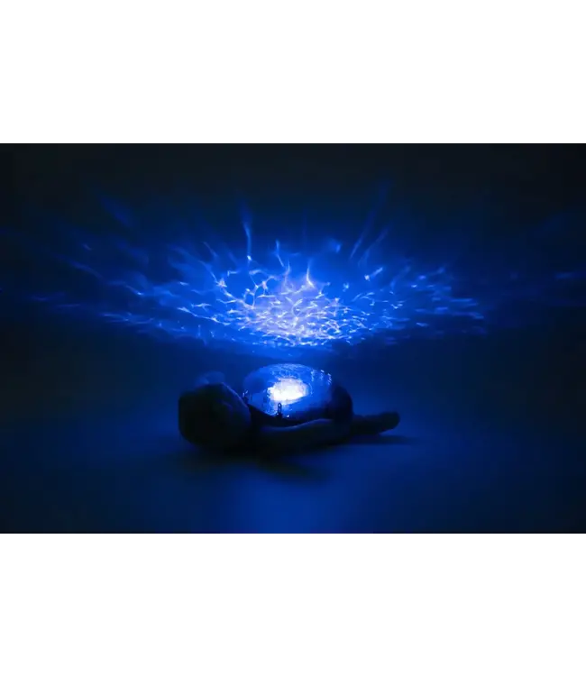 Cloud B Cloud B - Tranquil Turtle Ocean Rechargeable