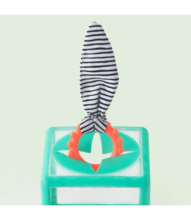 Sassy Sassy - Rainbow Ring Drop