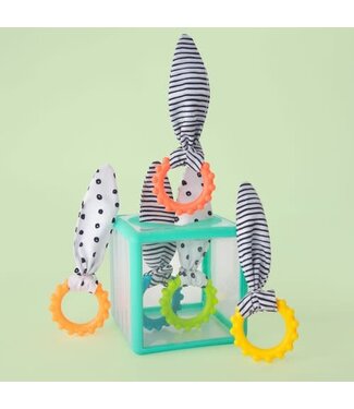 Sassy Sassy - Rainbow Ring Drop