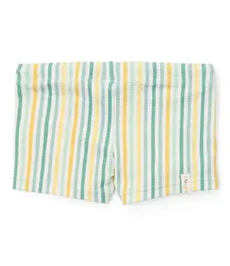 Little Dutch Little Dutch - Zwembroek Stripes Multi-colour