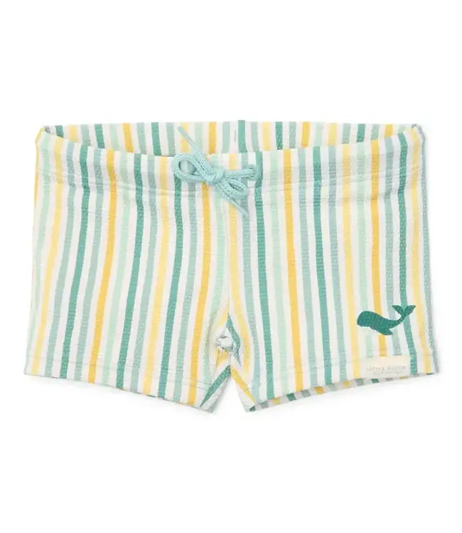 Little Dutch Little Dutch - Zwembroek Stripes Multi-colour