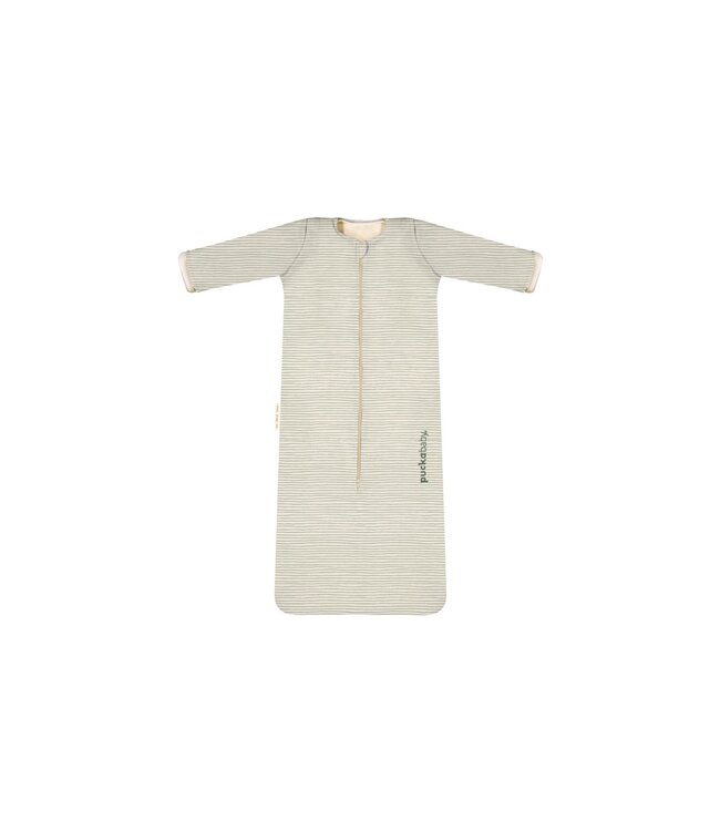 Puckababy Puckababy - The Bag 4 Seasons - 6 M/2.5 Y | 100 CM  - Green Stripes