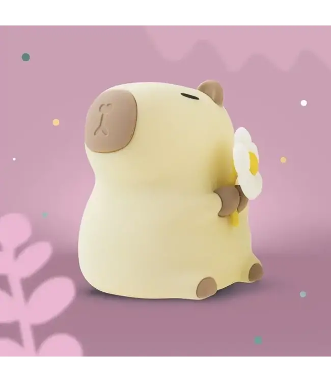 Mary's Mary's - Led Lamp - Kapibara Florist