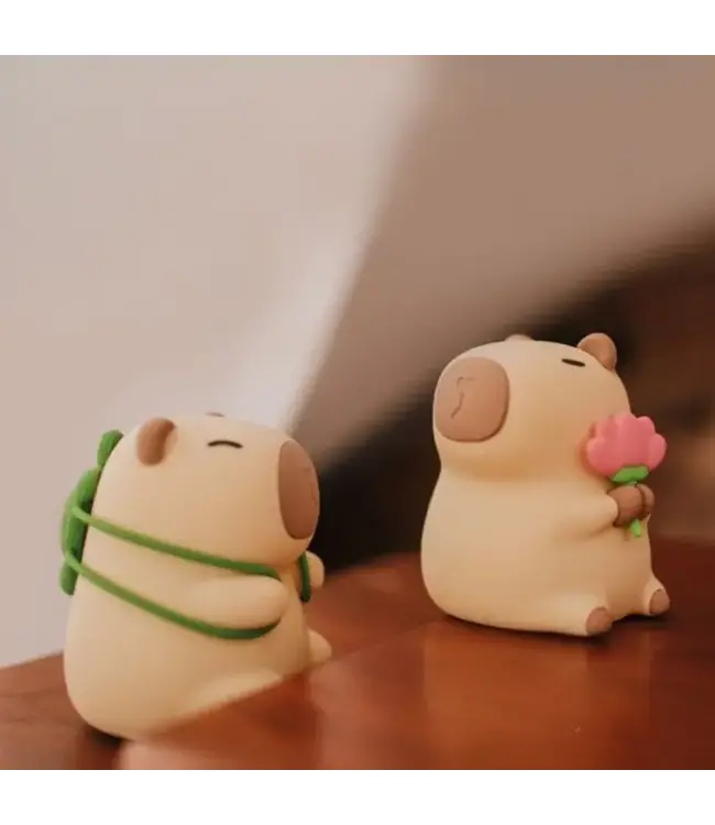 Mary's Mary's - Led Lamp - Kapibara Florist