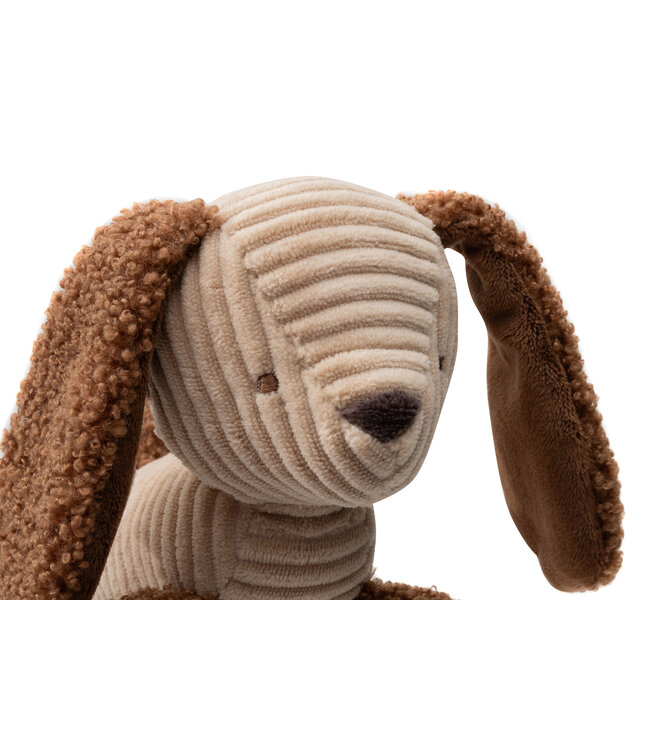 Jollein Jollein - Wagenhanger - Diego