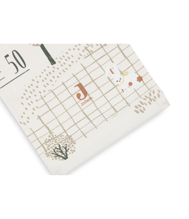 Jollein Jollein - Groeimeter - Tiny Park