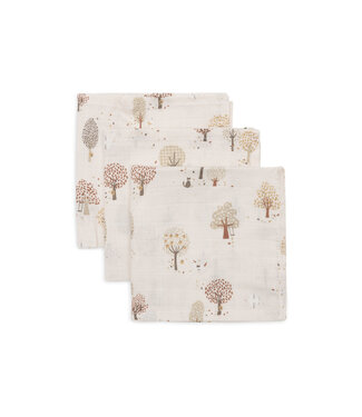 Jollein Jollein - Hydrofiel Monddoekje 31x31cm - Tiny Park - 3 Stuks