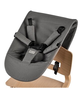 Leander Leander - Newborn seat for Leander highchair, Cool grey
