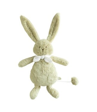 Dimpel Dimpel -  Ella Musical 25 - Pistache Green