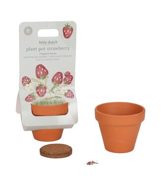 Little Dutch Toys Little Dutch Toys - Plantenpotje Aardbei
