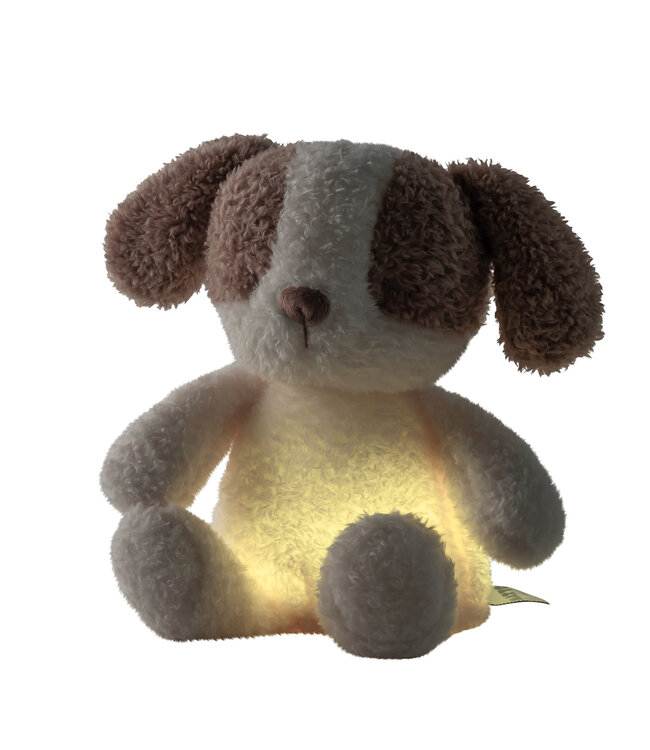 Nattou Nattou - Veilleuses - Mini Hond Knuffel Nachtlamp Teddy  Vanille