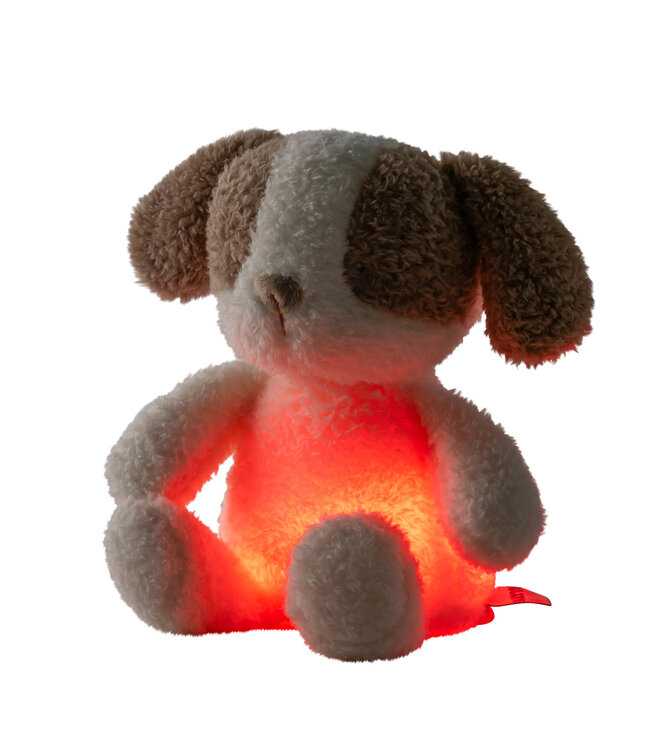 Nattou Nattou - Veilleuses - Mini Hond Knuffel Nachtlamp Teddy  Vanille