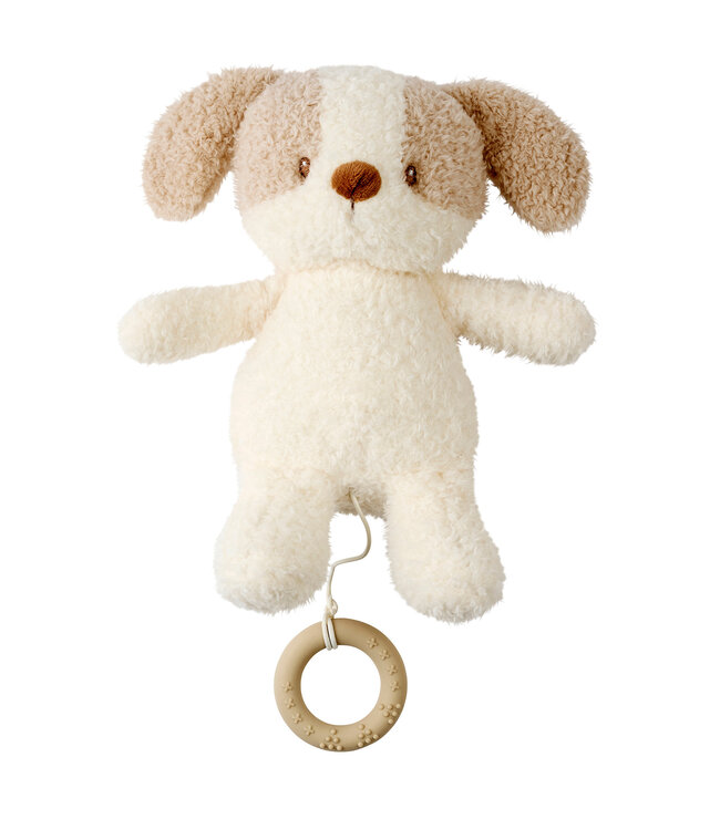 Nattou Nattou - Teddy - Babyhond Muziektrekker