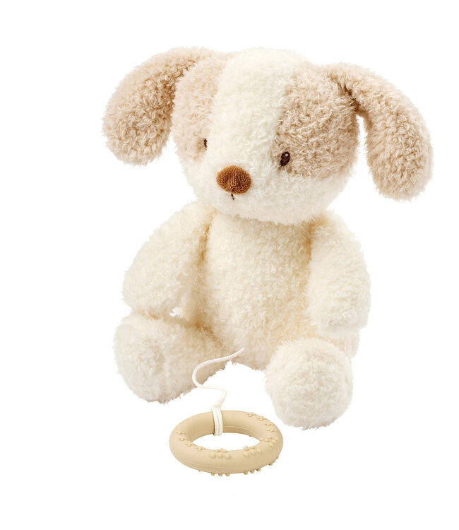Nattou Nattou - Teddy - Babyhond Muziektrekker