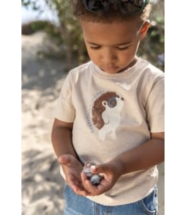 Little Dutch Little Dutch - T-shirt korte mouw Biscuit melange