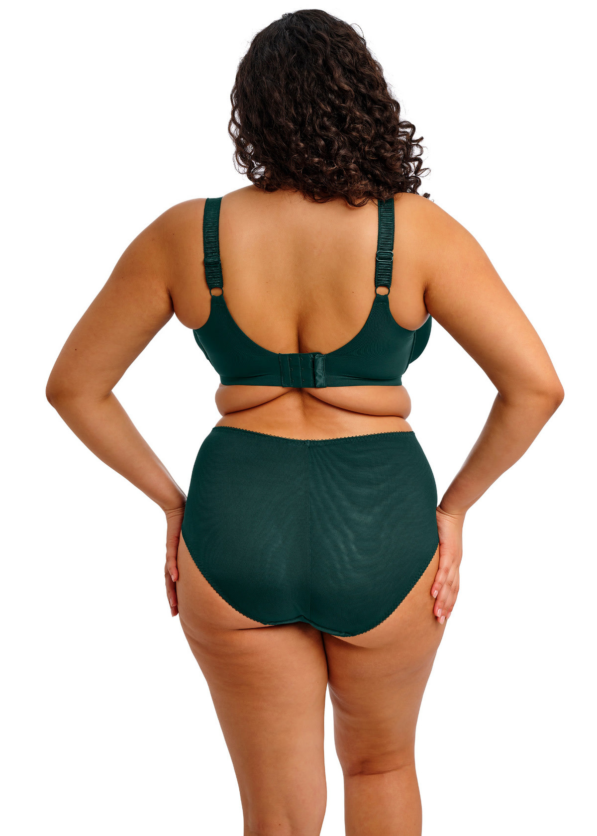 Elomi Lingerie Elomi - Cate Allure - Full Brief - Deep Emerald :