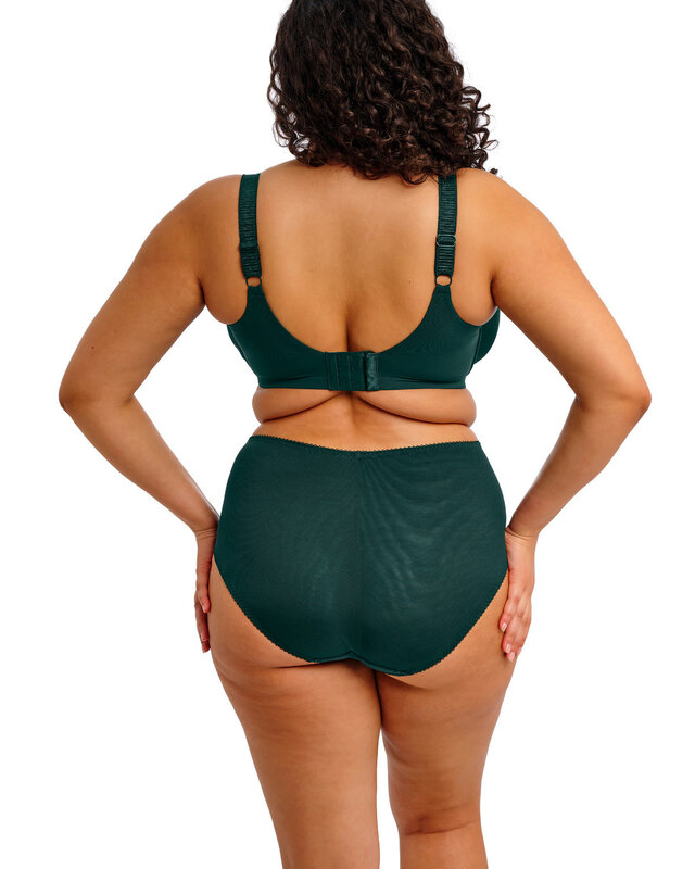 Elomi Lingerie Elomi - Cate Allure - Deep Emerald :