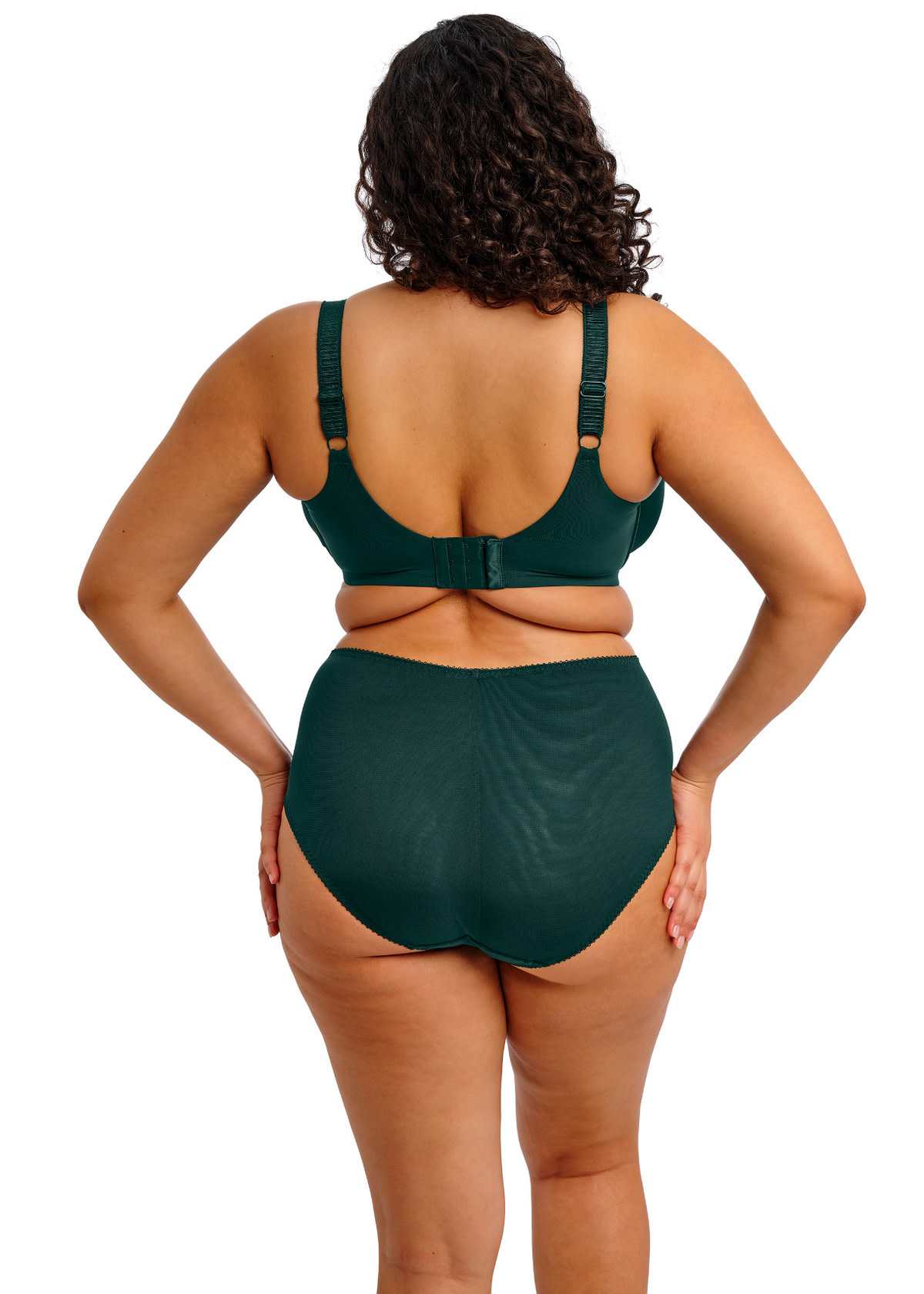Elomi Lingerie Elomi - Cate Allure - Deep Emerald :