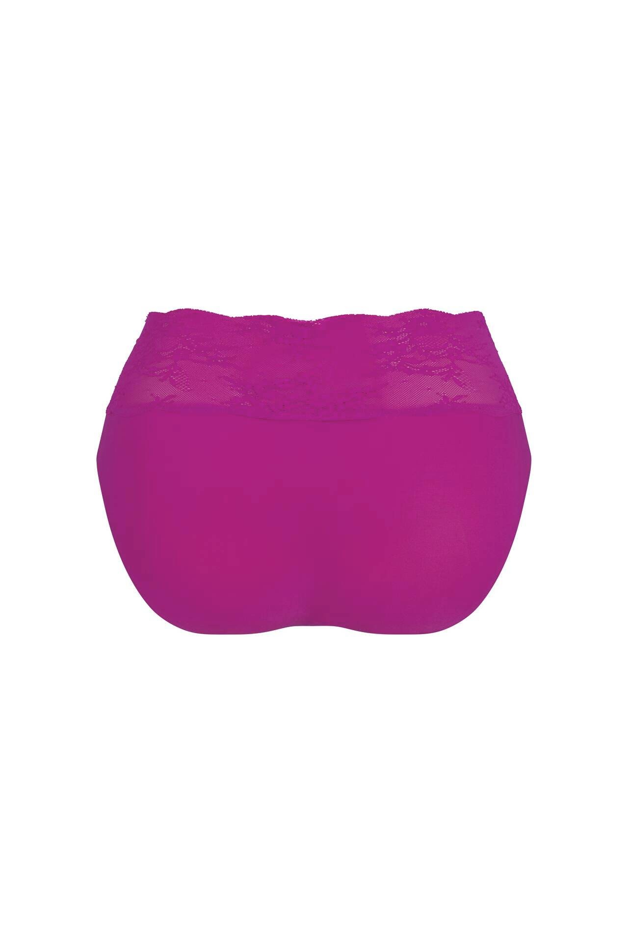 Anita Since 1886 Anita - Essential Lace - High Waist Briefs - Candy Pink :