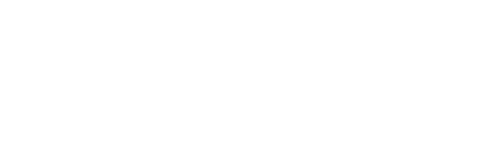 Lingerique