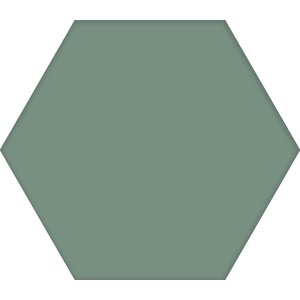 Codicer Hex25 Basic Kale 25x22