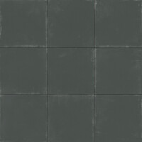 Tango Anthracite Natural 60x60 cm