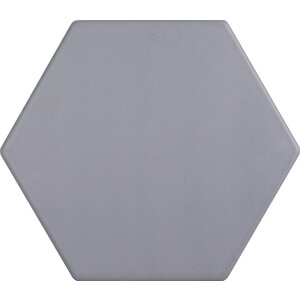 Tonalite Examatt Grigio Chiaro Matt 15x17,1 cm