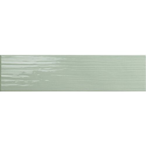 Tonalite Tonalite Paintboard Salvia 10x40 cm