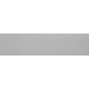 Tonalite Scandi Grigio 10x40 cm