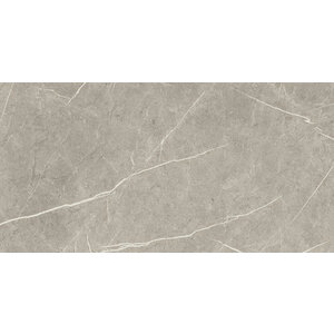 Baldocer Eternal Taupe Brillo 30x60 cm