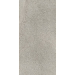 Castelvetro Life Grigio 60x120 cm